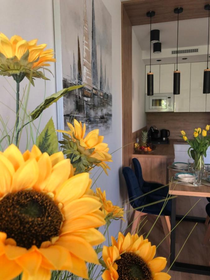 Apartament Sloneczny By Rentoom Apartman Stary Toruń Kültér fotó